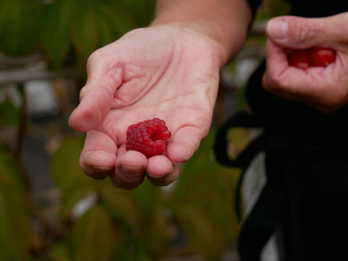 Narebo Gardshotell ลืดเชอปิง ภายนอก รูปภาพ